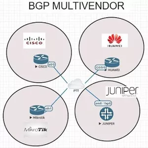 BGP MULTIVENDOR