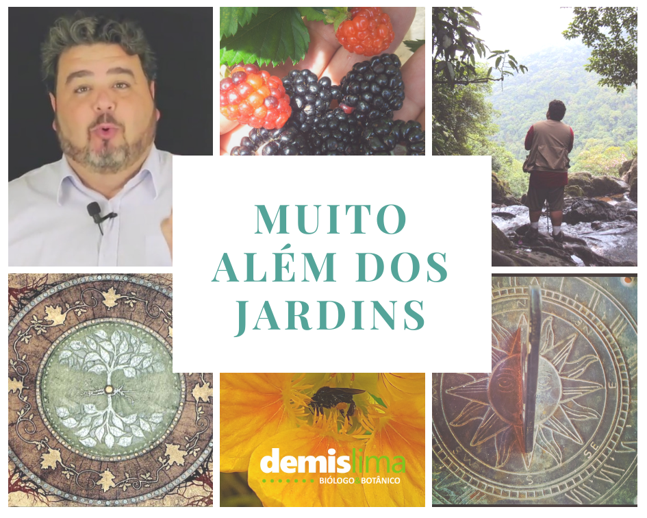 Curso básico de Jardinagem - Desenvolvendo o Dedo Verde