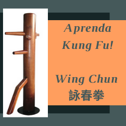 Wing Chun - Ving Tsun