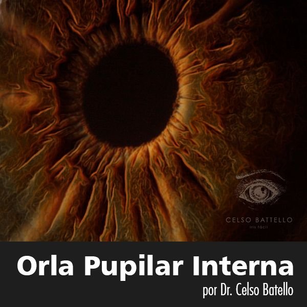 Orla Pupilar Interna